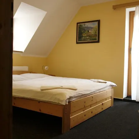 Pensionat U Studeneho Potoka 3*